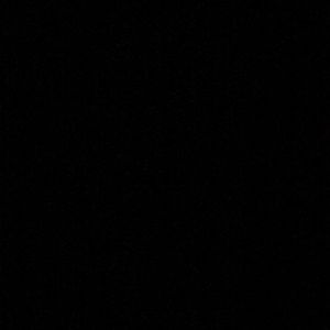 Meet your Posher, Shelby